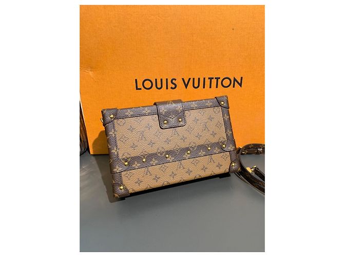 Borsa Louis Vuitton Petite Malle Edizione Limitata Marrone - vista 3