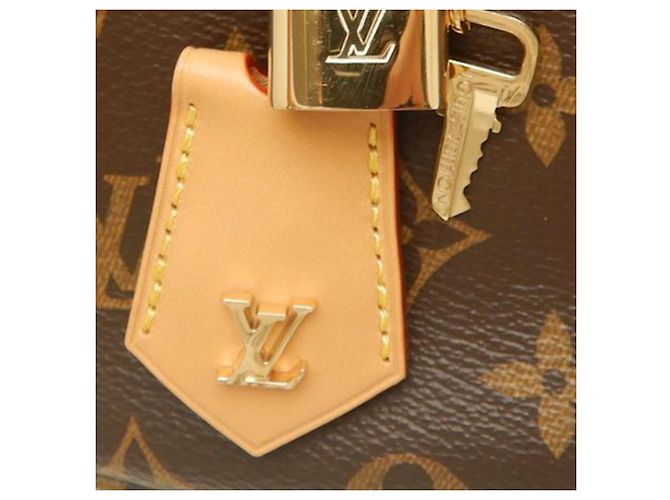 Louis Vuitton Marrón Monogram Looping Castaño - vista 9