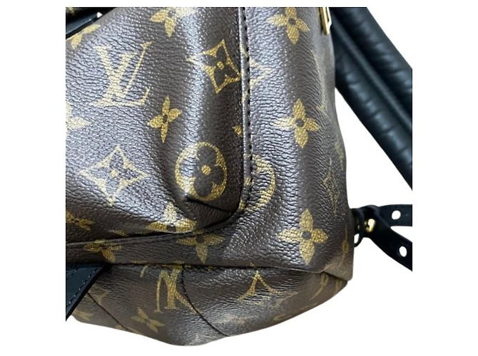 Louis Vuitton Palm Springs Backpack PM M44871 Marrone Nero - vista 5