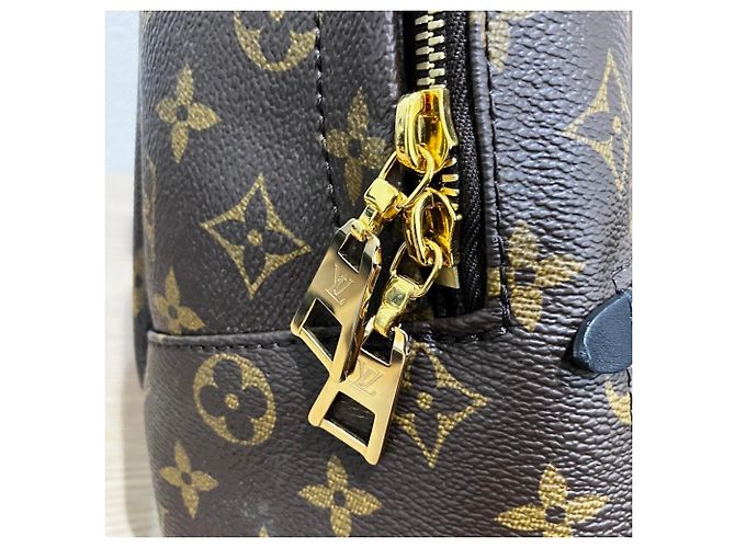 Louis Vuitton Palm Springs Backpack PM M44871 Marrone Nero - vista 8