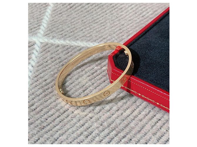 Bracciale Cartier Love versione larga in oro rosa D'oro - vista 5