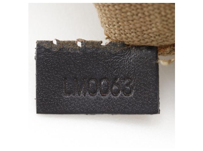 Pochette Shawny MM Louis Vuitton Borsa a Spalla Marrone - vista 17