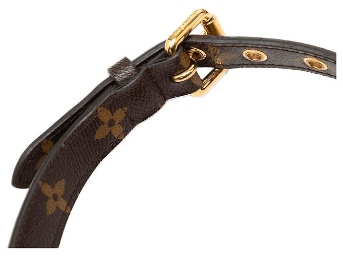 Louis Vuitton Marrone Monogram Pallas MM - vista 7