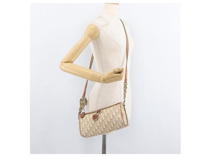 Borsa a Spalla Christian Dior Trotter Canvas Romantic PVC Beige Argento Auth 177266 - vista 24