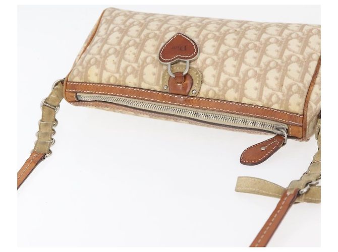 Borsa a Spalla Christian Dior Trotter Canvas Romantic PVC Beige Argento Auth 177266 - vista 6