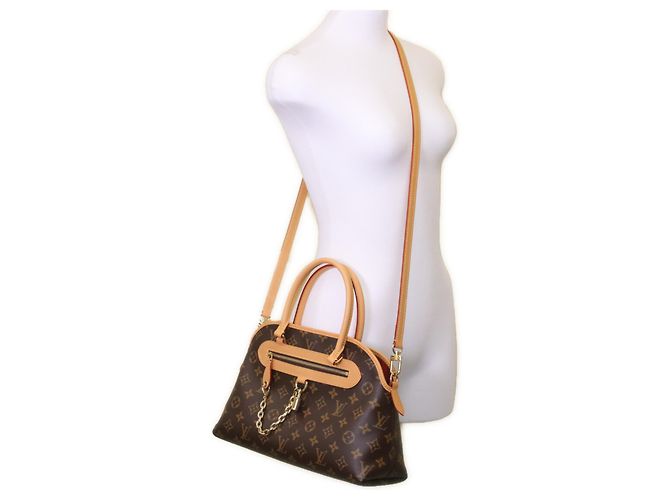 Borsa a Spalla Louis Vuitton Monogram Evermore PM Marrone - vista 10