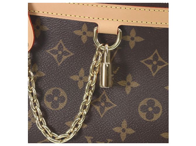Borsa a Spalla Louis Vuitton Monogram Evermore PM Marrone - vista 6