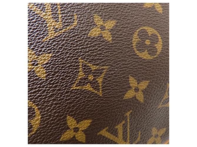 Louis Vuitton Marrone Monogram Odeon PM - vista 16