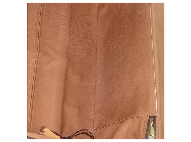 LOUIS VUITTON Valigia Monogram Pegas 55 M23294 LV Auth 175854 Monogramma - vista 31