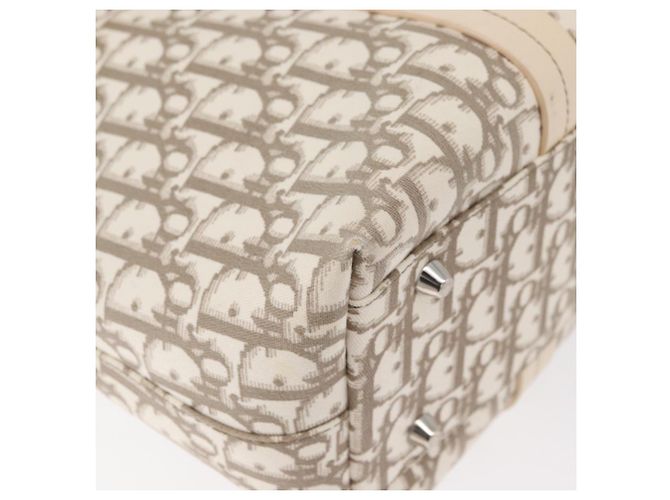 Bolso Tote Christian Dior Trotter Canvas Beige Plata Auth 179002A - vista 16