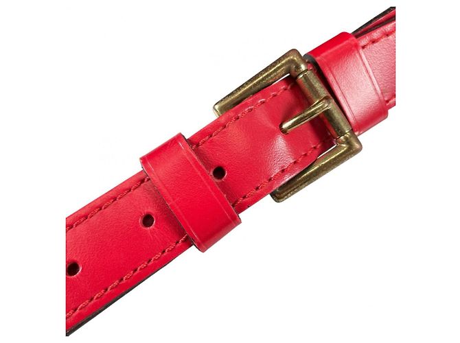 Borsa a tracolla Louis Vuitton in rosso Castilian - vista 17