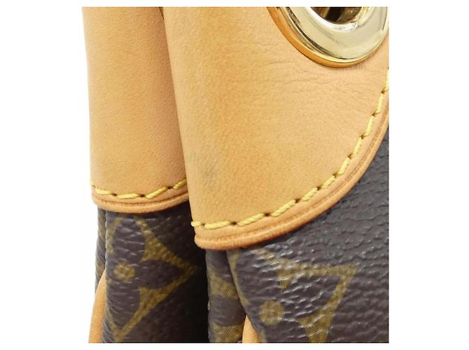 Borsa a Spalla Louis Vuitton Monogram Galliera PM Marrone - vista 4