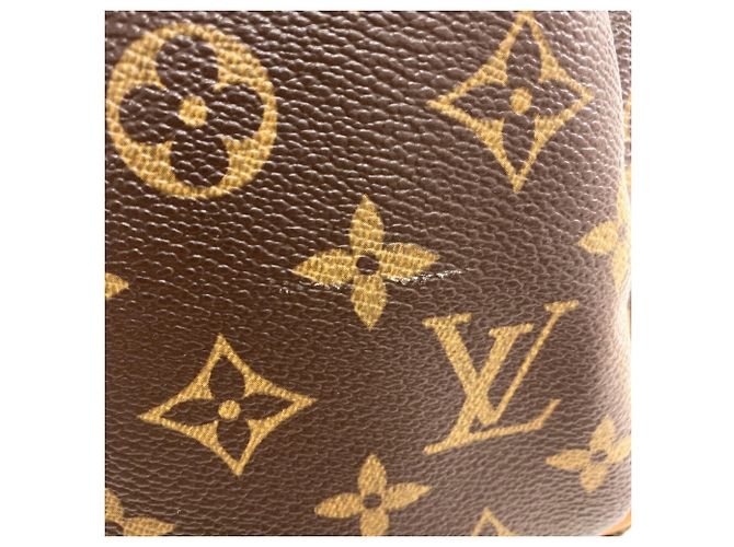 Borsa Louis Vuitton M41528 Speedy 25 Marrone Monogramma - vista 12
