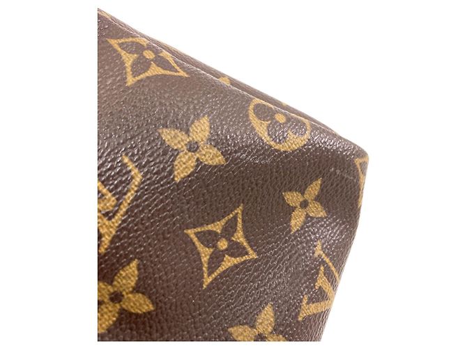 Borsa Louis Vuitton M41528 Speedy 25 Marrone Monogramma - vista 14
