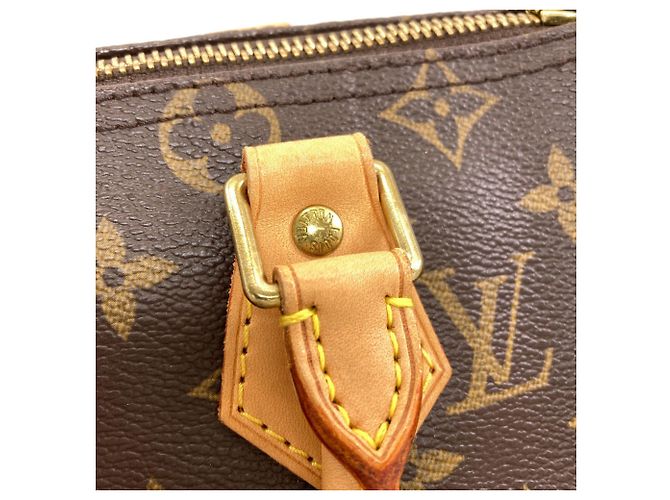 Borsa Louis Vuitton M41528 Speedy 25 Marrone Monogramma - vista 15