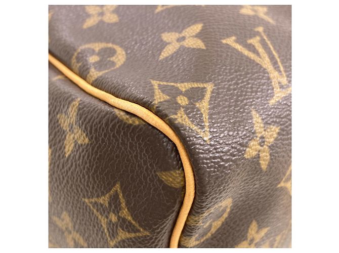 Borsa Louis Vuitton M41528 Speedy 25 Marrone Monogramma - vista 19