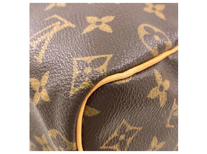 Borsa Louis Vuitton M41528 Speedy 25 Marrone Monogramma - vista 20