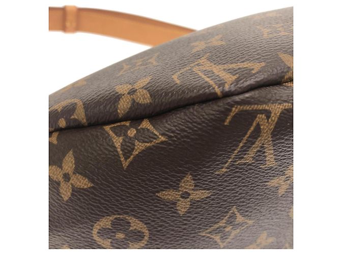 Louis Vuitton Monogram Bumbag M43644 Bolso de hombro Castaño - vista 3
