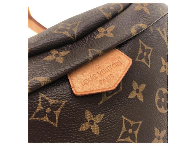 Louis Vuitton Monogram Bumbag M43644 Bolso de hombro Castaño - vista 4