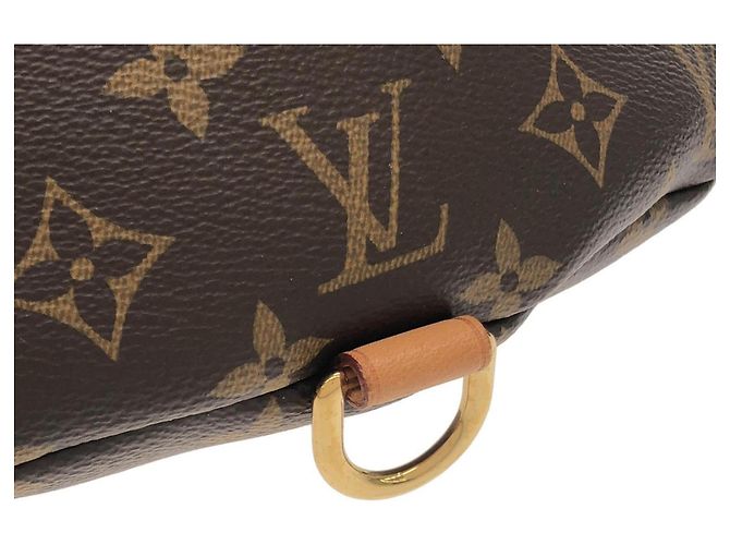 Louis Vuitton Monogram Bumbag M43644 Bolso de hombro Castaño - vista 5