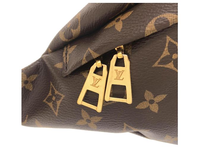 Louis Vuitton Monogram Bumbag M43644 Bolso de hombro Castaño - vista 6
