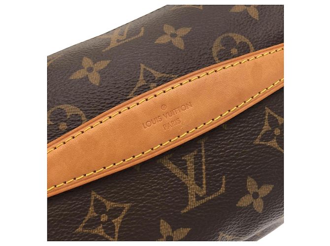 Louis Vuitton Monogram Bumbag M43644 Bolso de hombro Castaño - vista 7
