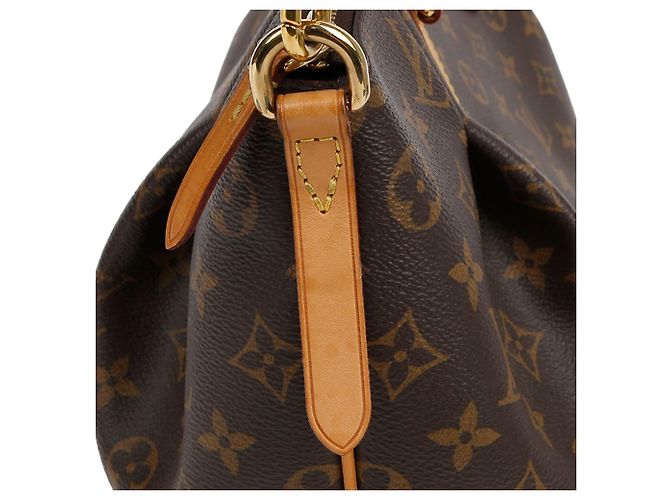 Louis Vuitton Borsa a tracolla Turenne Mm Tote Marrone - vista 5