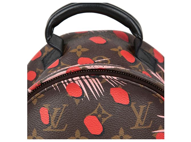 Louis Vuitton Zaino Palm Springs Pm Size Multicolore - vista 2