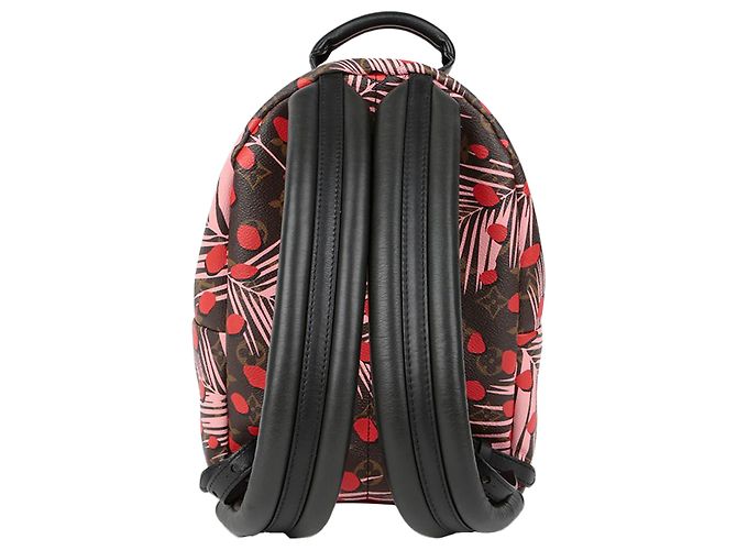 Louis Vuitton Zaino Palm Springs Pm Size Multicolore - vista 4