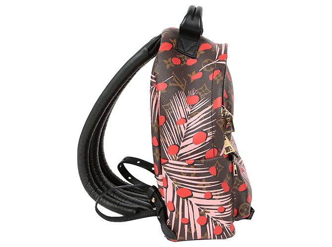 Louis Vuitton Zaino Palm Springs Pm Size Multicolore - vista 5