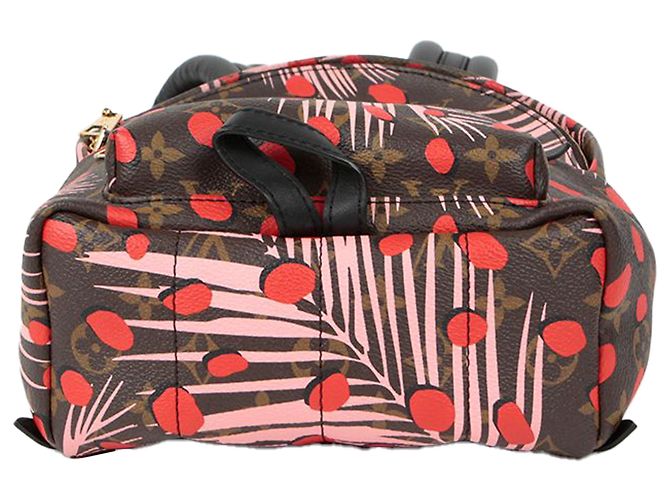 Louis Vuitton Zaino Palm Springs Pm Size Multicolore - vista 6