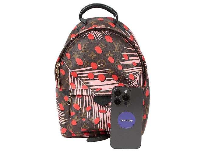 Louis Vuitton Zaino Palm Springs Pm Size Multicolore - vista 7