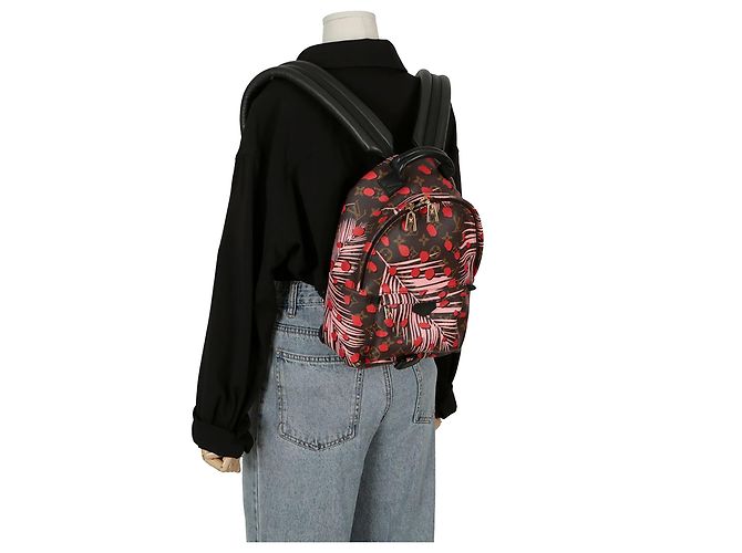 Louis Vuitton Zaino Palm Springs Pm Size Multicolore - vista 9