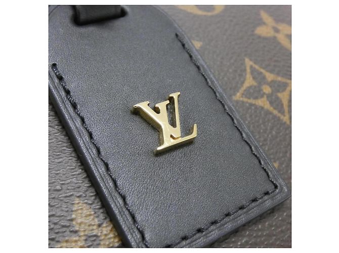 Borsa Louis Vuitton Monogram Petite Malle Souple Marrone - vista 4