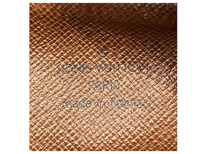 Borsa a Spalla Louis Vuitton Danube Marrone - vista 4