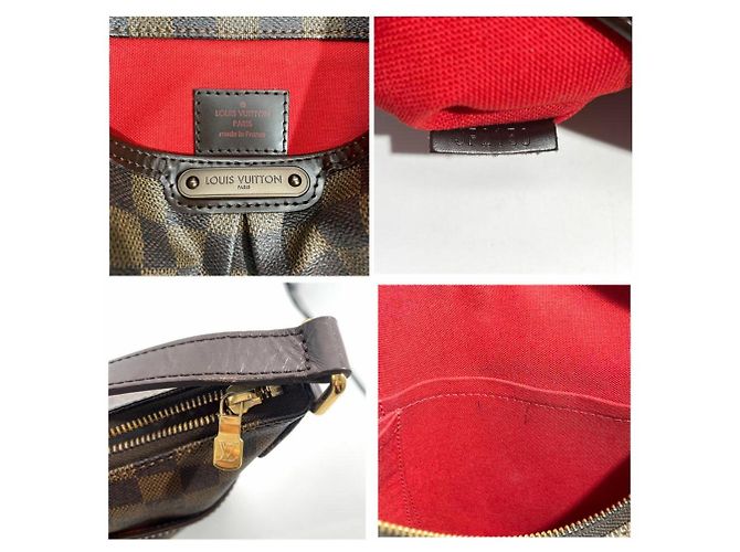 Borsa a Spalla Louis Vuitton Bloomsbury PM Marrone - vista 9