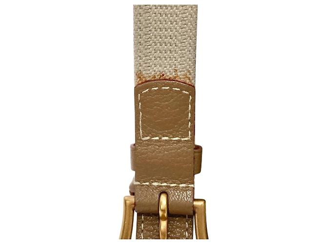 Borsa Tote Louis Vuitton Toal Trianon Poiple GM Beige - vista 9