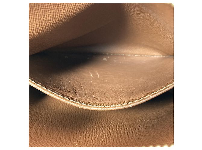Borsa a tracolla Louis Vuitton Monogram Danube Marrone - vista 7