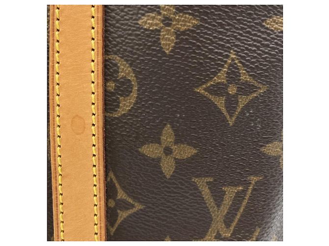 Borsa Tote Louis Vuitton Bucket GM Marrone - vista 8