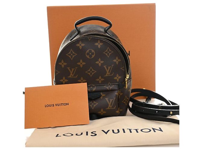 Louis Vuitton Marrone Monogram Mini Palm Springs - vista 12