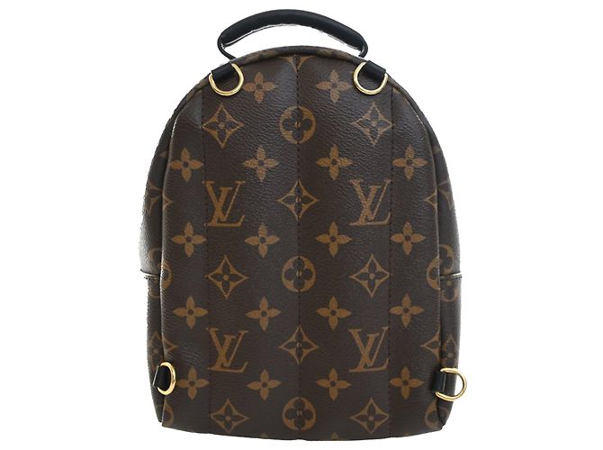 Louis Vuitton Marrone Monogram Mini Palm Springs - vista 2