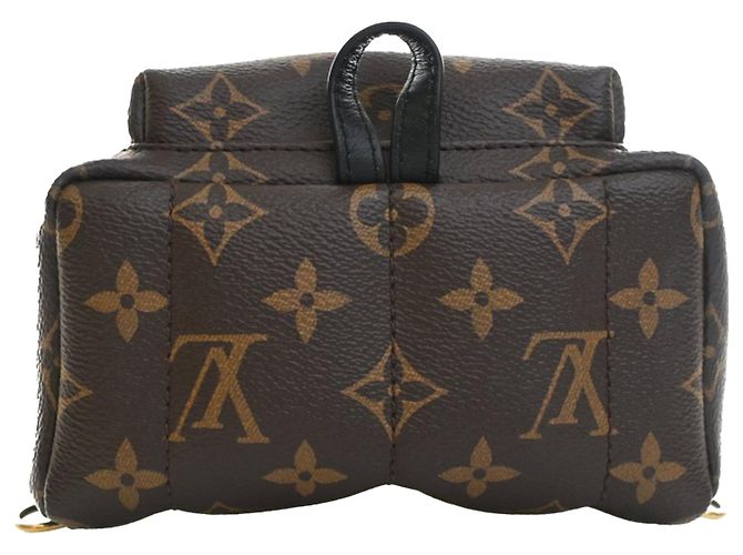 Louis Vuitton Marrone Monogram Mini Palm Springs - vista 3