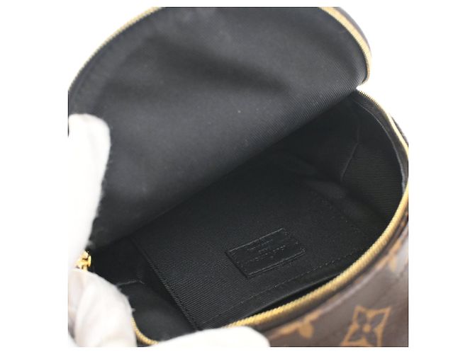 Louis Vuitton Marrone Monogram Mini Palm Springs - vista 4