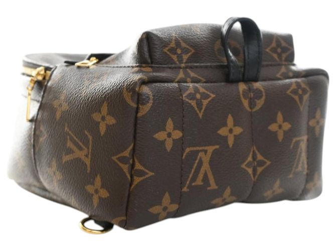 Louis Vuitton Marrone Monogram Mini Palm Springs - vista 5