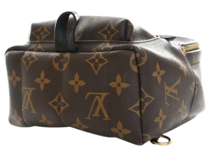 Louis Vuitton Marrone Monogram Mini Palm Springs - vista 6