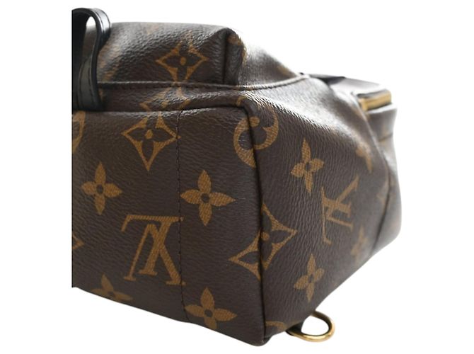 Louis Vuitton Marrone Monogram Mini Palm Springs - vista 8