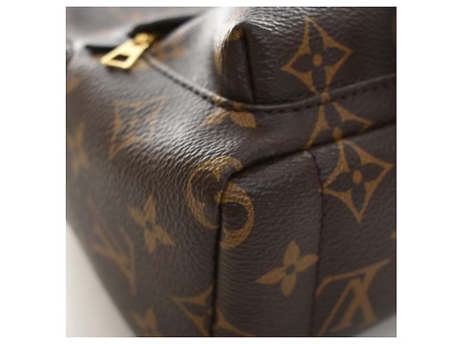 Louis Vuitton Marrone Monogram Mini Palm Springs - vista 9