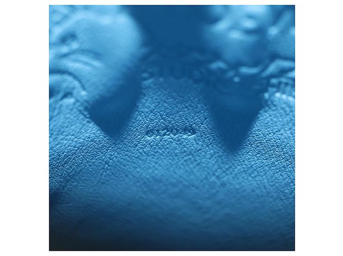 LOEWE �~ Ghibli My Neighbor Totoro Gate Pocket Leather Light Blue Auth 167291SM - Ansicht 25
