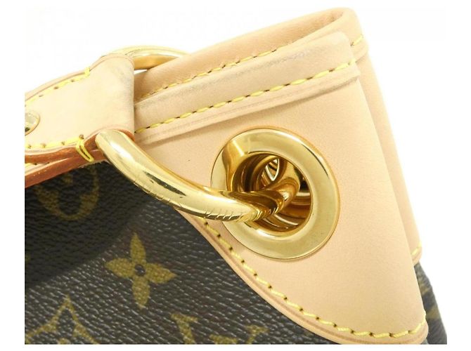Borsa a Spalla Louis Vuitton Monogram Galliera PM Marrone - vista 5