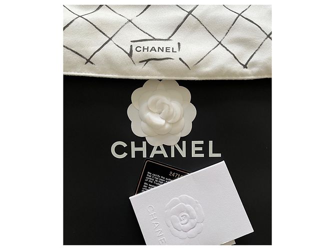 Chanel Wallet on Chain WOC Pelle Argentata Argento - vista 8